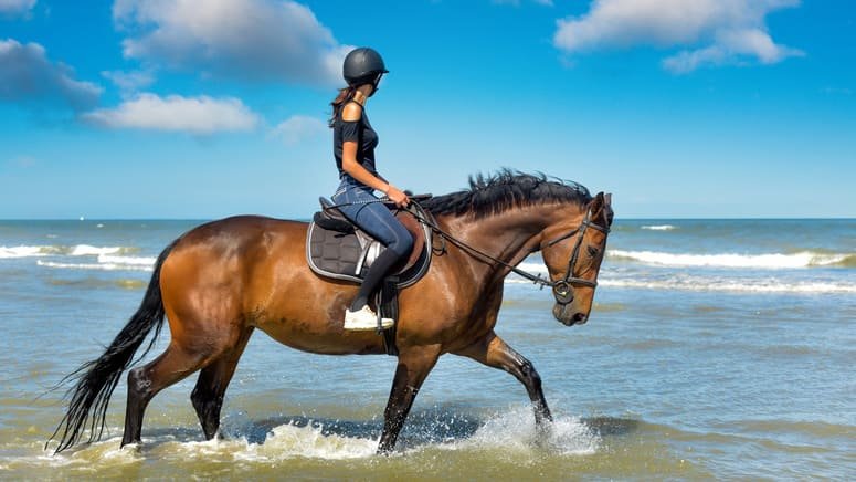 Paseo caballo Los Cabos