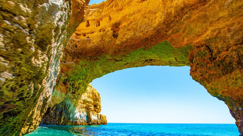 avistamiento delfines cuevas algarve