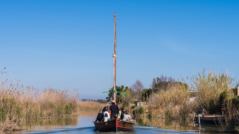 Tour centro Valencia paseo barca Albufera 
