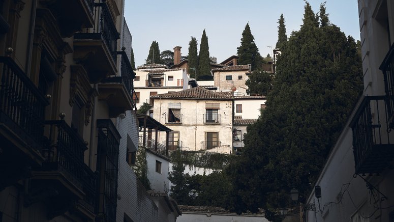free tour barrio realejo