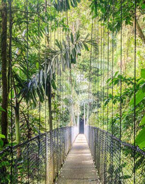 Tour puentes colgantes y barranquismo