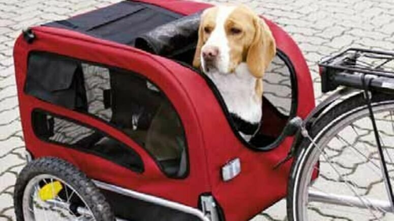 Alquiler bicicletas Teruel 