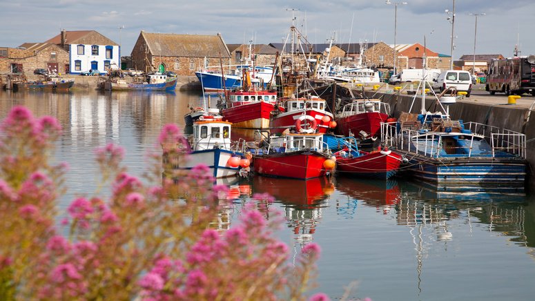 excursion howth