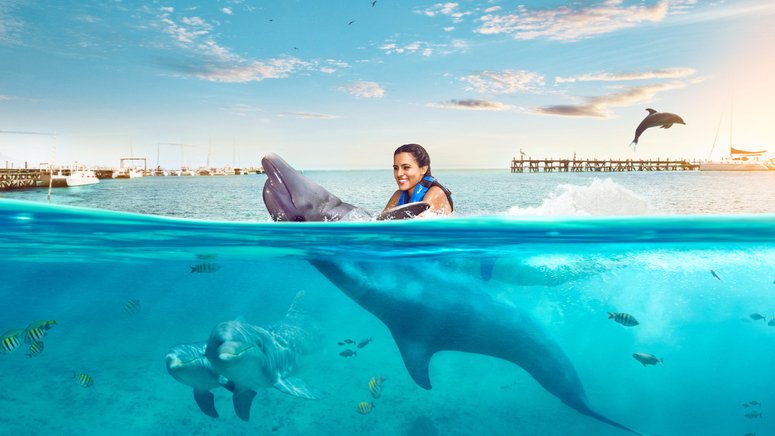 delfines buffet barra libre Isla Mujeres