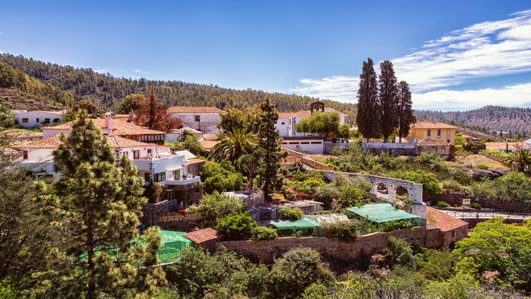 excursion privada teide cata vinos