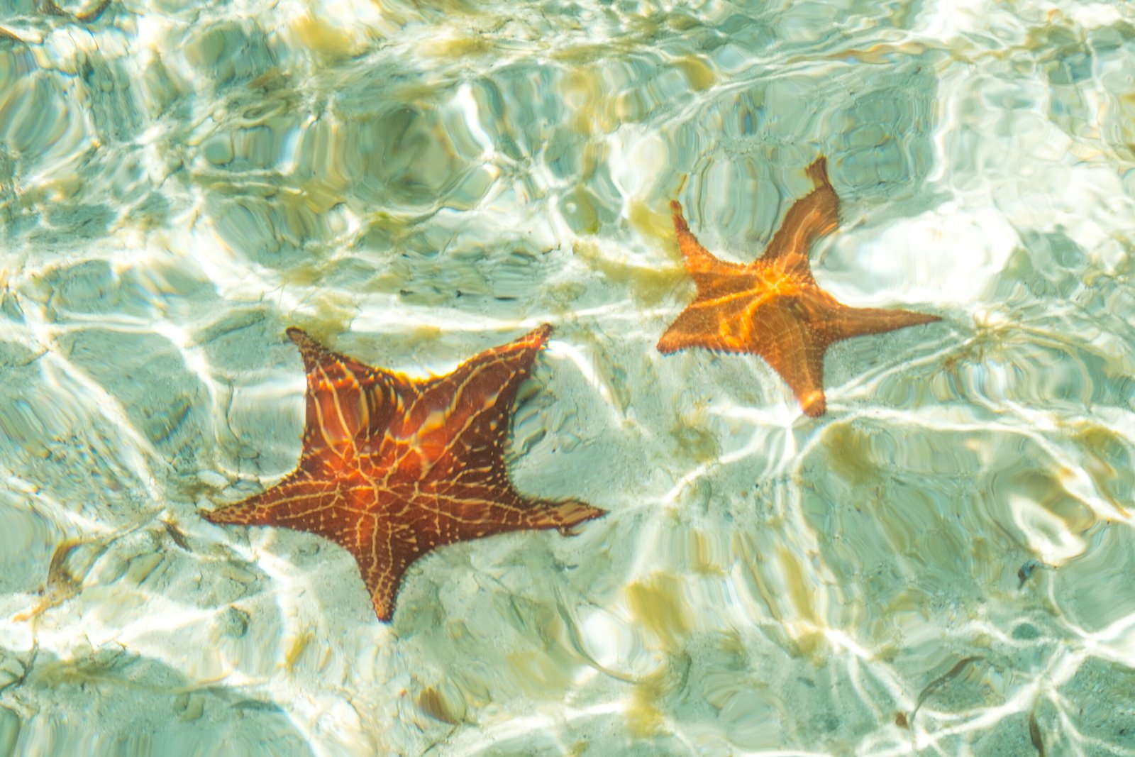 Excursión día islas San Blas desde Ciudad Panamá
