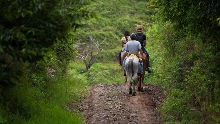 Tour privado caballo  Monteverde 