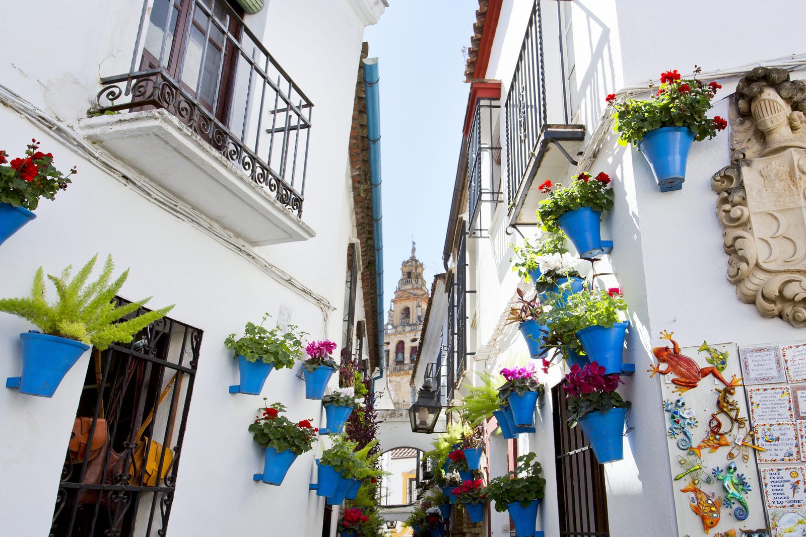 Tour por la Córdoba monumental