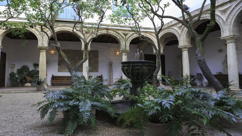 visita palacio viana