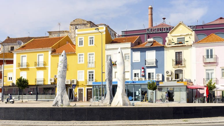Tour privado de cata de vinos en Setúbal