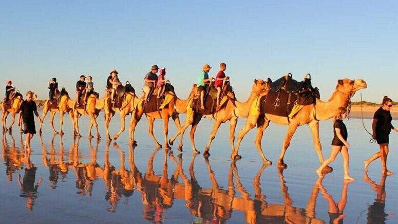 Paseo camello Agadir