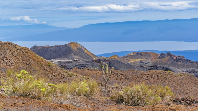 Tour volcanes Sierra Negra y Chico