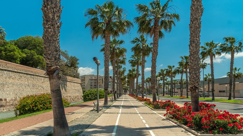 tour guerras punicas cartagena