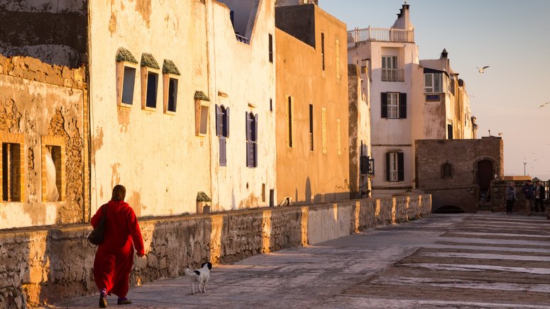Excursión privada Essaouira desde Agadir