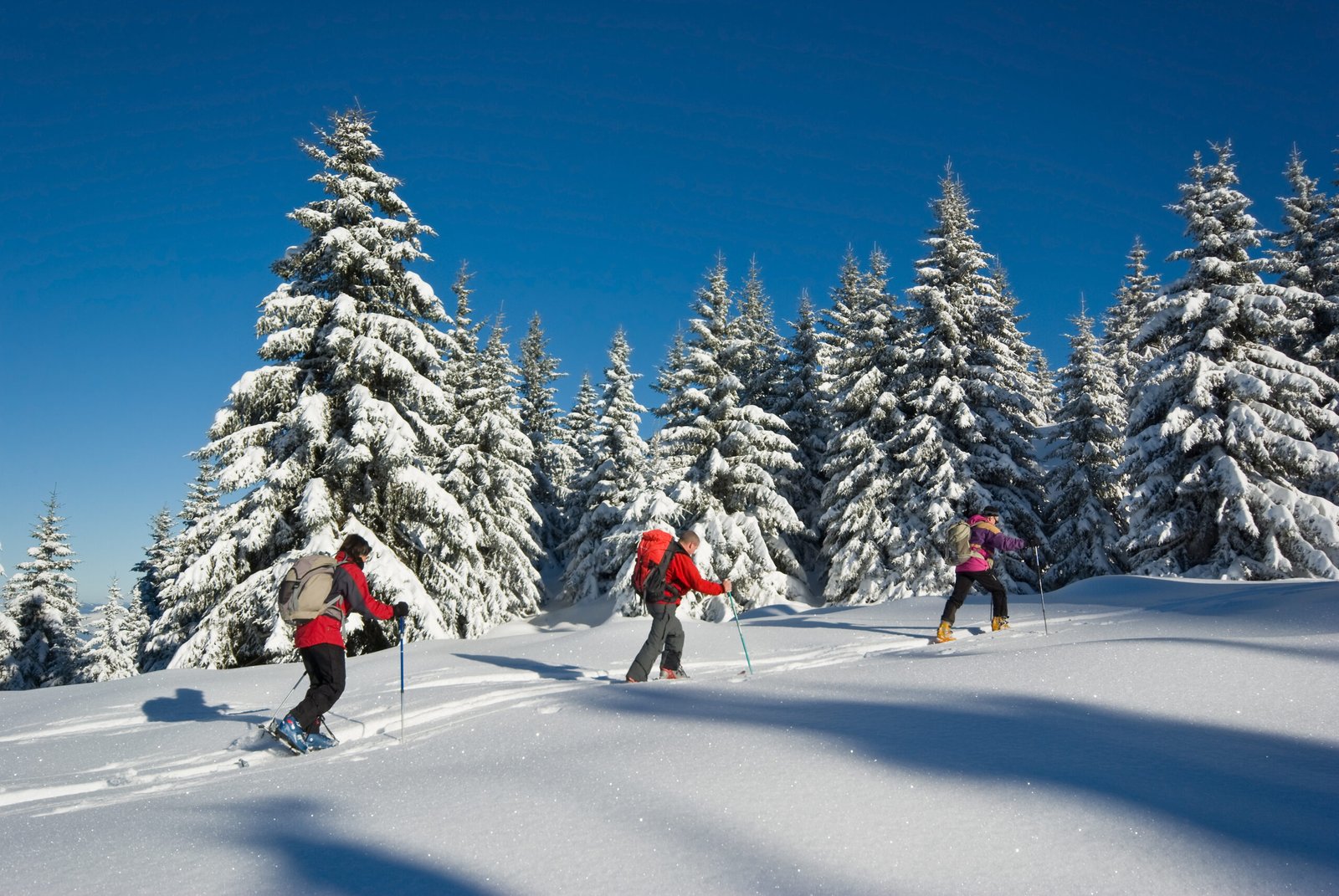 actividad-raquetas-nieve-navacerrada