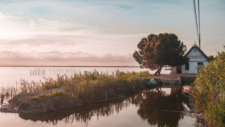 Tour centro Valencia paseo barca Albufera 