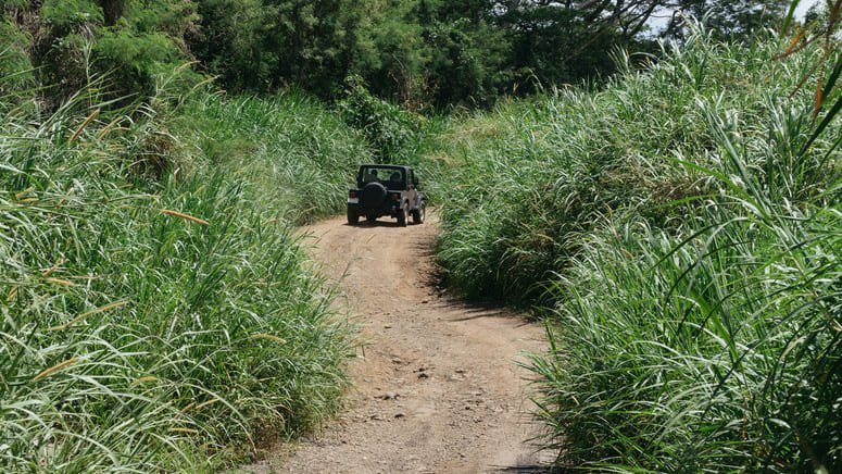tour safari reserva natural ebano