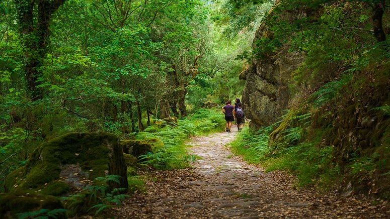 ruta parque nacional peneda geres