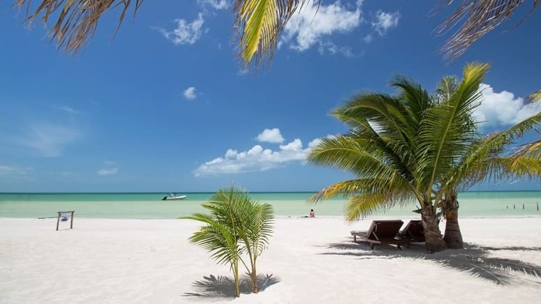 Excursión Chichén Itzá y Holbox 