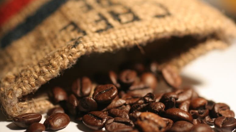 Tour nocturno café cacao caña azúcar