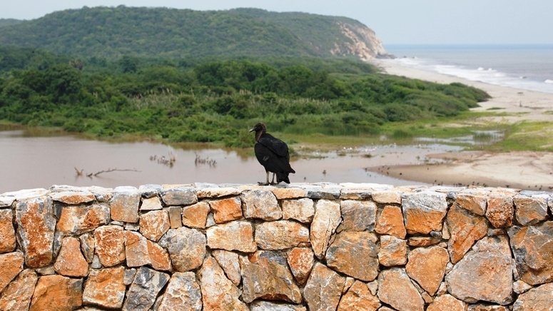 Visita parque eco-arqueológico Copalita