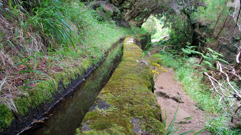 Ruta 25 fuentes Rabaçal