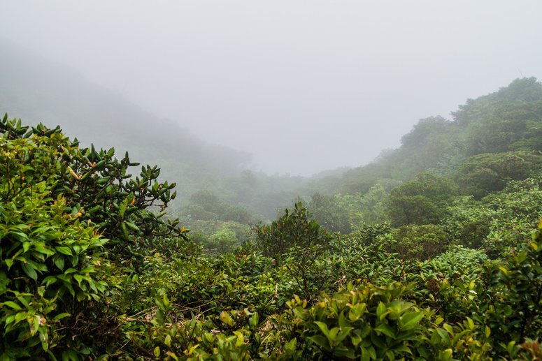 Tirolina rapel Monteverde  