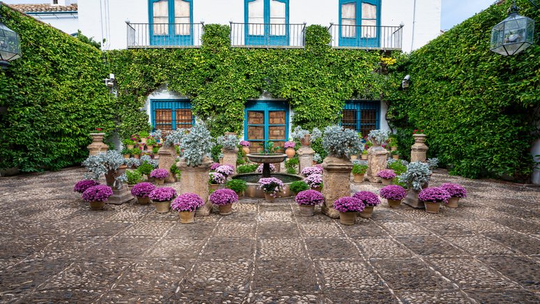 visita palacio viana