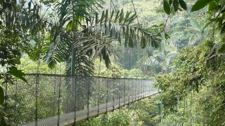 Tour puentes colgantes y barranquismo
