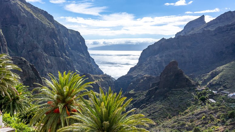 tour santa cruz san cristobal teide