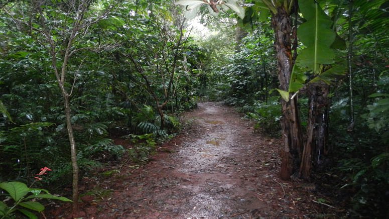 Cabalga por la selva del Iguazú