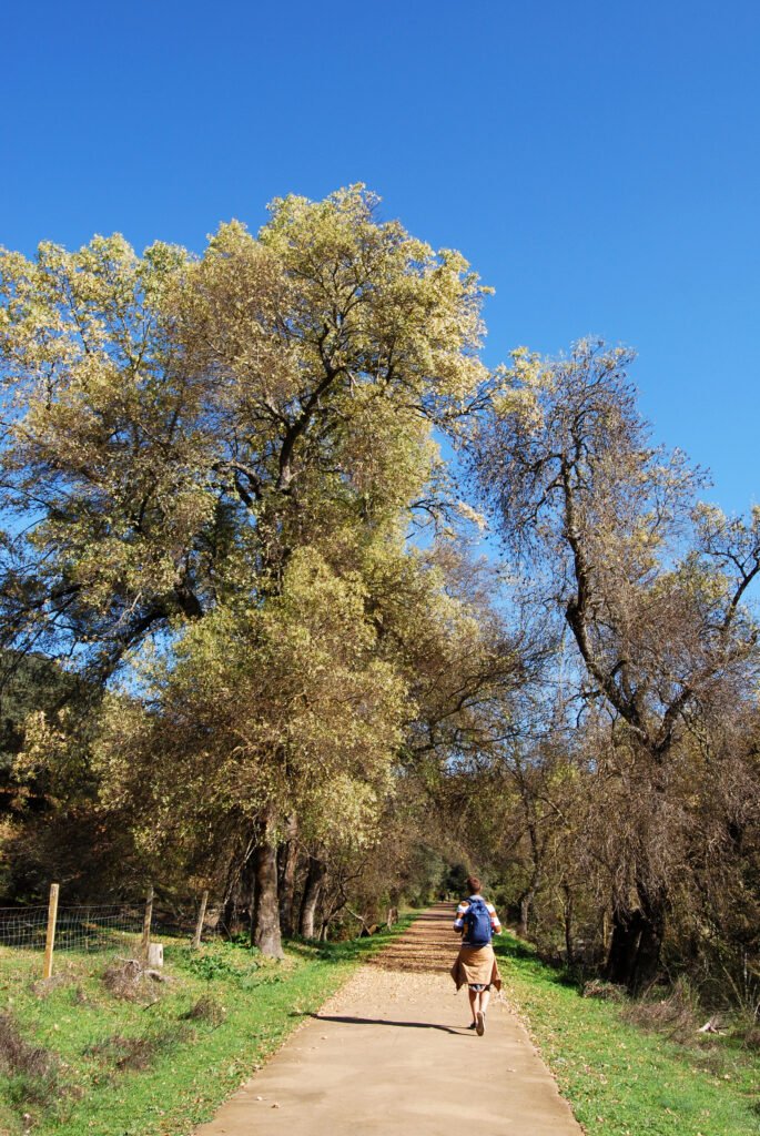 Tour bici pueblos de Sevilla