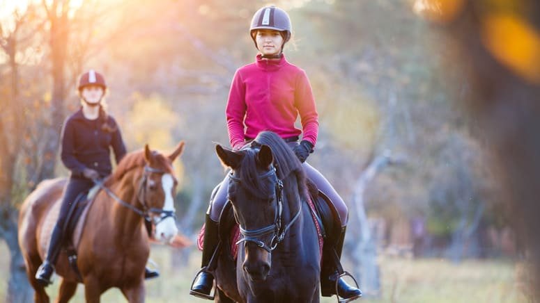 Ruta caballo Doñana