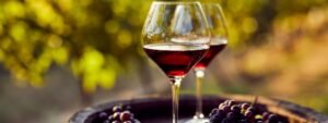 Tour de degustación de los sabores tradicionales en Oporto