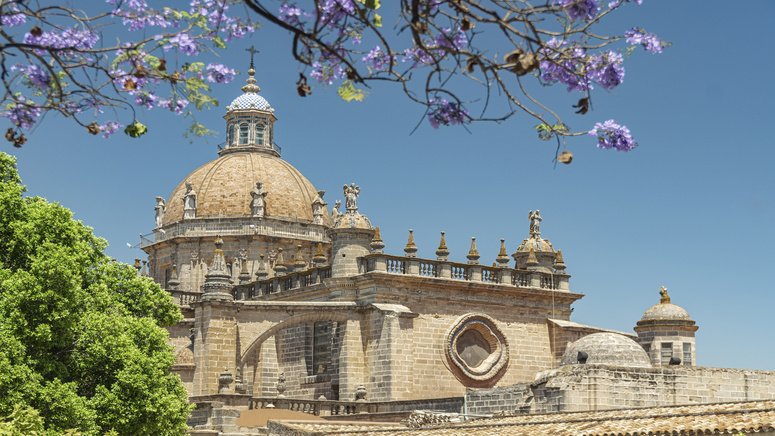 free tour alcazar jerez frontera