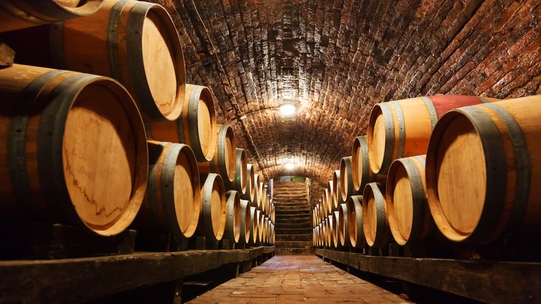 visita guiada bodega valle martello