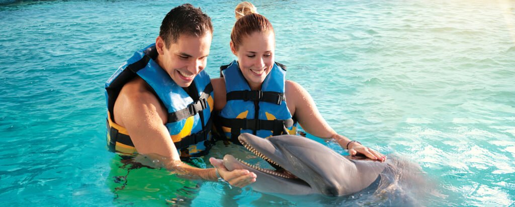 delfines buffet barra libre Isla Mujeres