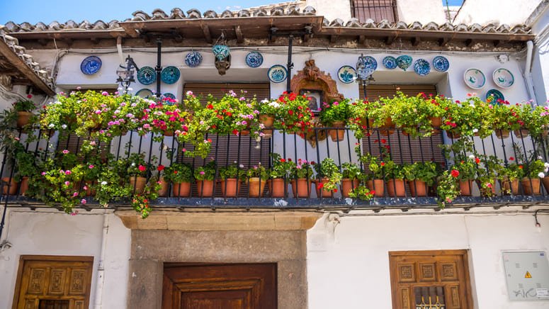 Excursión privada Granada desde Sevilla