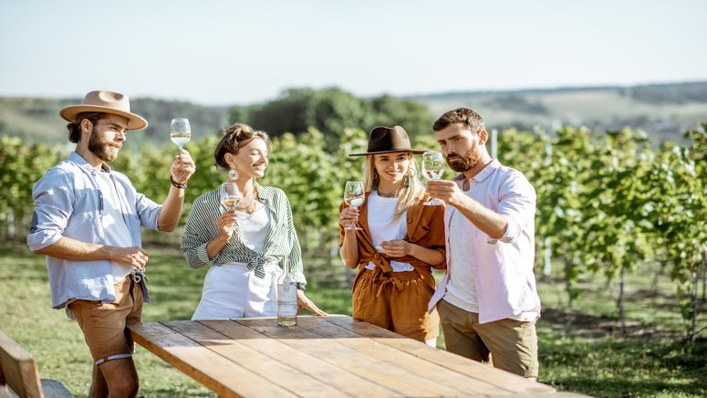 visita guiada bodega valle martello