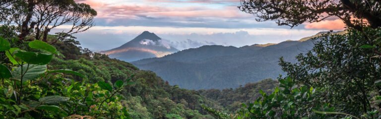 Ruta privada Bosque Nuboso de Monteverde