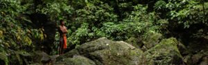 Excursión privada en kayak por el río Chagres