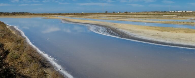 Excursión salina El Puerto Santa María