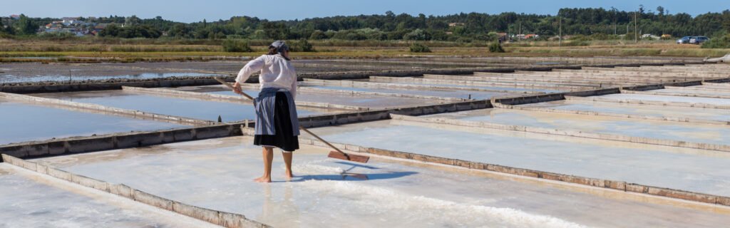 Excursión Figueira da Foz