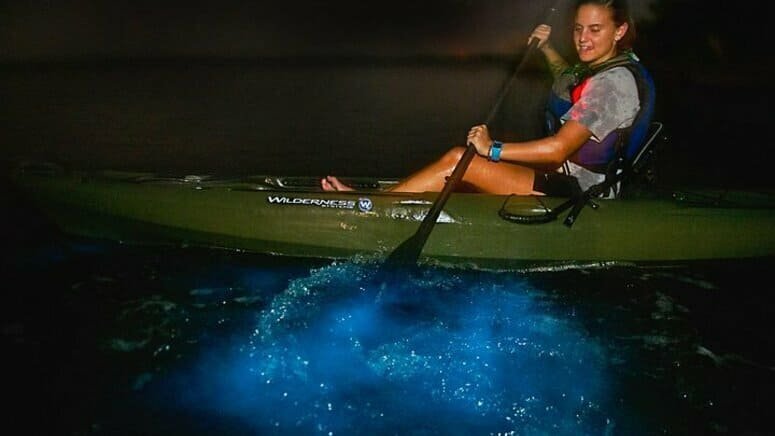 Bioluminiscencia kayak atardecer