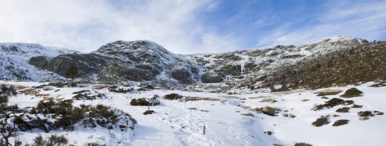 actividad-raquetas-nieve-navacerrada