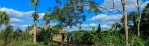 Tour un día agricultura cenote y Ek Balam