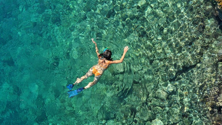 Paseo barco y snorkel Golfo Dulce