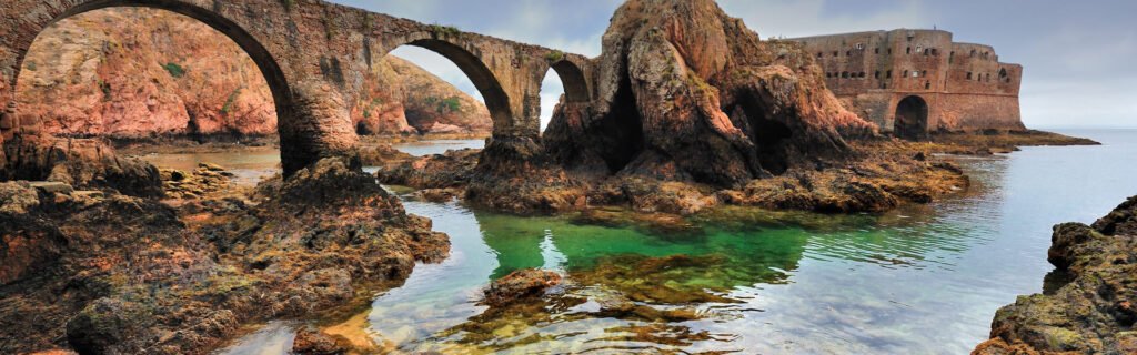 Tour grupo bote y kayak Peniche