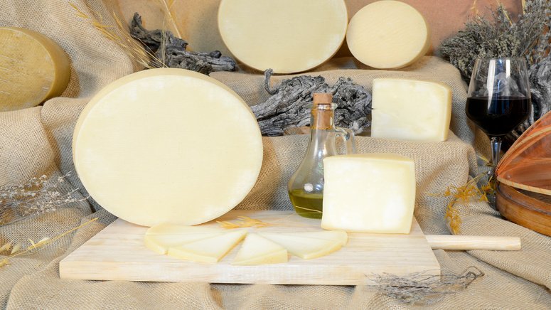 visita privada lecheria santa ceterina