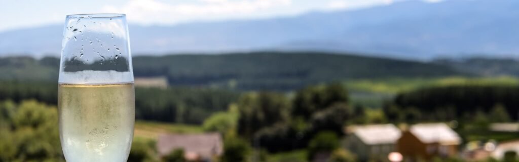 Crea tu propio cava en MasÃa Can Batlle